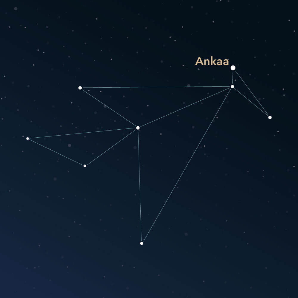 Constellation Phoenix | Interesting Information