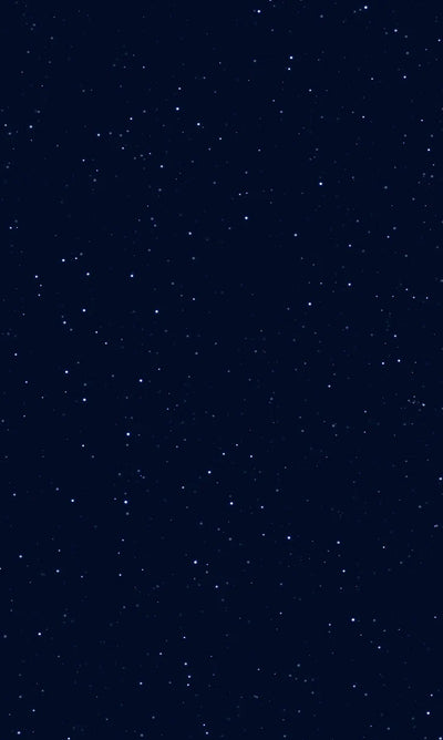A Starry Night Sky
